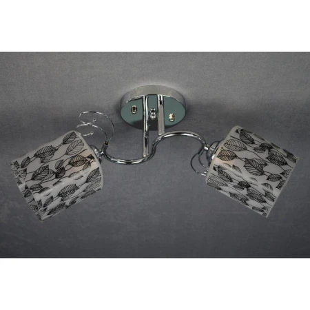 ДС616/2 CR (6) светильник потолочный [01075284]