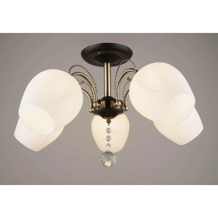 ВР-N3810/5 BK+AB (4) светильник потолочный [01091566]