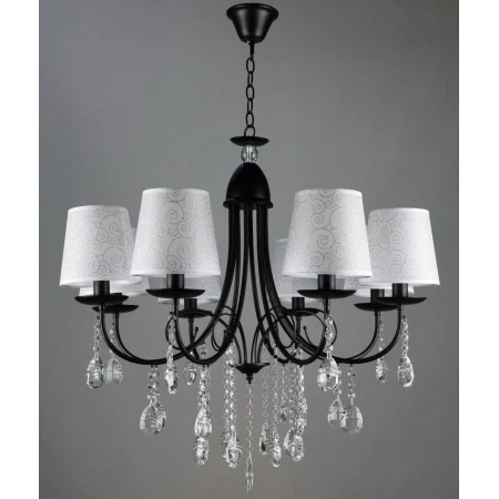 ВР-N2758/8 BK+WT (2) светильник потолочный [01089804]