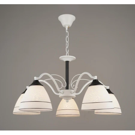 ВР-C1356/5 WT+BK D580*H540мм (4) светильник потоло [01094247]