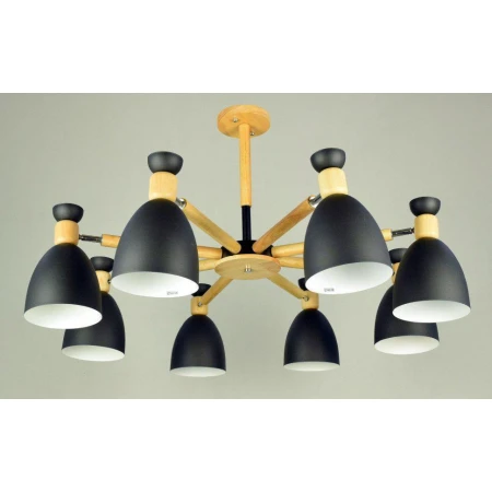 ФА-D2209/8 BK (1) светильник потолочный [01085595]