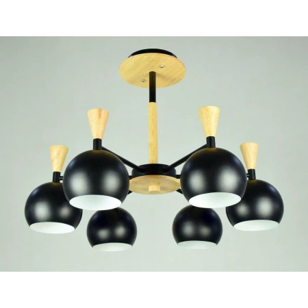 ФА-D2204/6 BK (1) светильник потолочный [01085603]