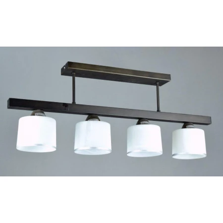 Е10338/4 (1) светильник потолочный [01049383]