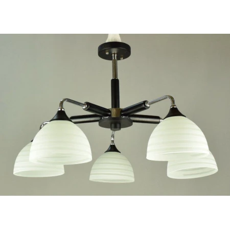 ВР-C0533/5 CR+BK (4) светильник потолочный [01083631]