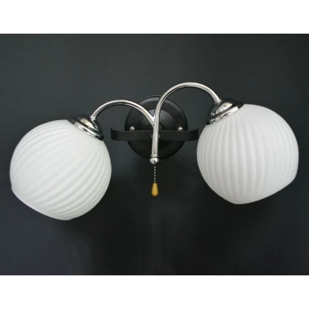 P6628/2W (10)