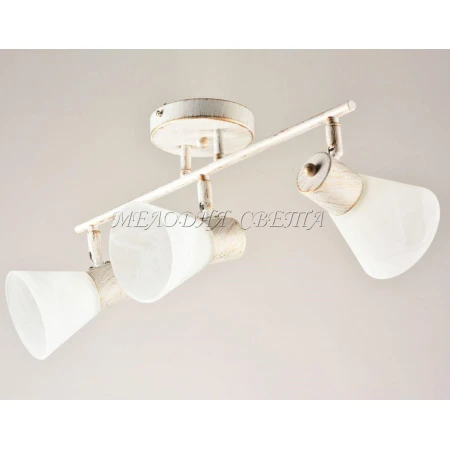 9779/3 WG  (4) - Эконом-Плюс люстры