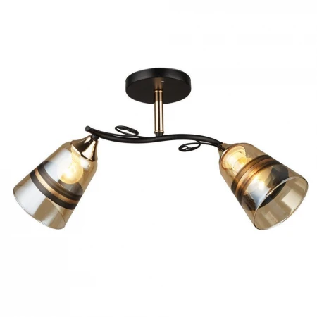 Люстра 66372.01.69.02 СПИНЕЯ