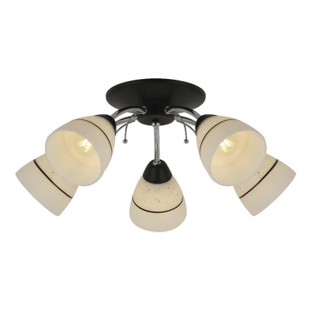 Потолочная люстра Toplight Winnifred TL1255D-05BC