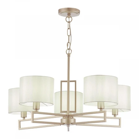 Подвесная люстра Evoluce Danae SLE105803-05