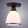Потолочный светильник Arte Lamp Bonito A9518PL-1BA Потолочный светильник Arte Lamp Bonito A9518PL-1BA