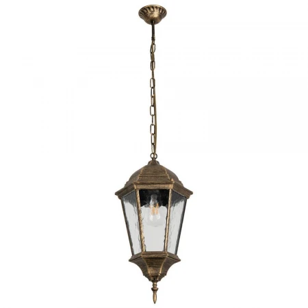 Уличный подвесной светильник Arte Lamp Genova A1204SO-1BN