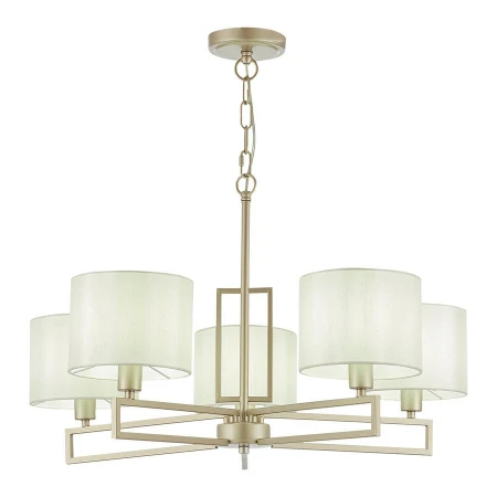 Люстра EVOLUCE SLE105803-05 DANAE