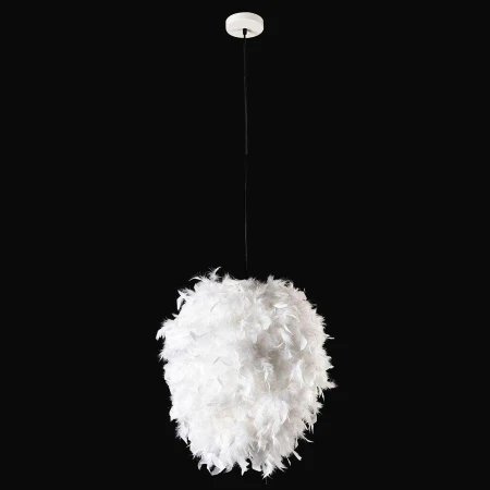 Светильник Lussole LSP-8603