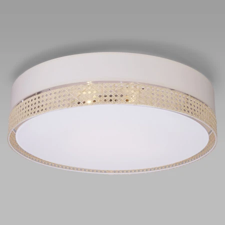 Светильник TK Lighting 6691 Paglia