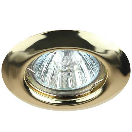 Точечный светильник ЭРА ST3 GD C0043802