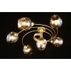 Потолочная люстра Aployt Flor APL.611.07.06 Потолочная люстра Aployt Flor APL.611.07.06