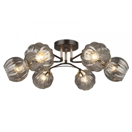 Потолочная люстра Wedo Light Buttrio 66674.01.15.06