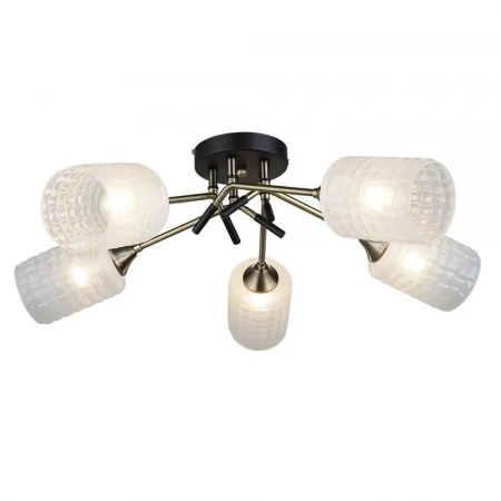 Потолочная люстра Wedo Light Noverate 66673.01.37.05