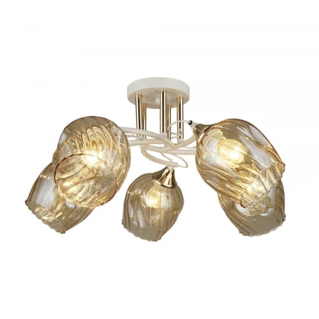 Потолочная люстра Wedo Light Latizana 66601.01.10.05