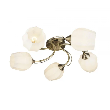 Потолочная люстра Wedo Light Shajena 66593.01.05.05