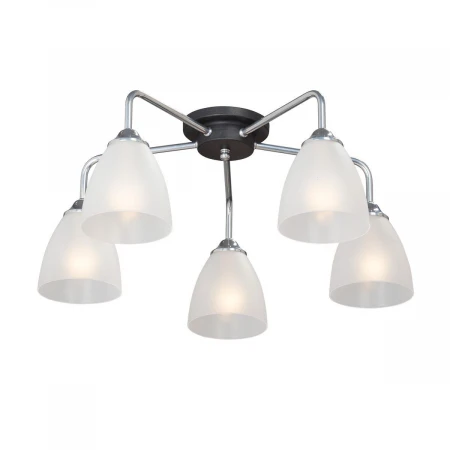 Потолочная люстра Vitaluce V4952-9/5PL