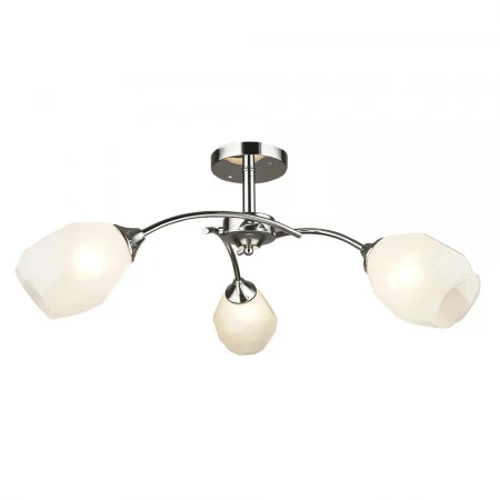 Потолочная люстра Wedo Light Totgnir 66653.01.03.03