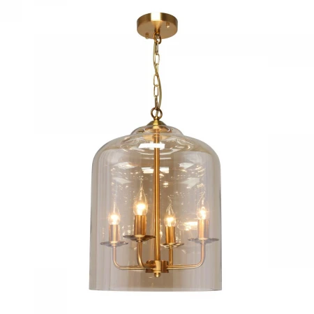 Подвесная люстра Aployt Polin APL.603.06.06