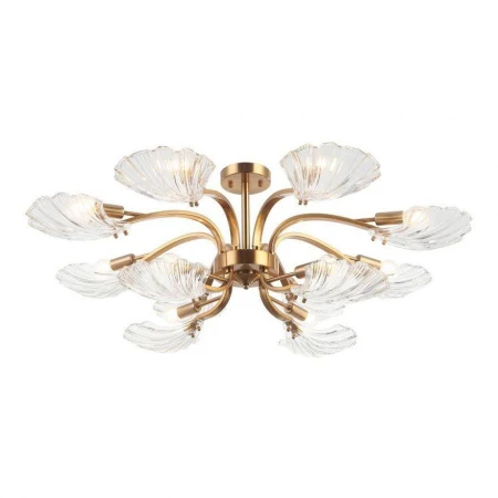 Потолочная люстра Stilfort Muschel 2153/05/12P