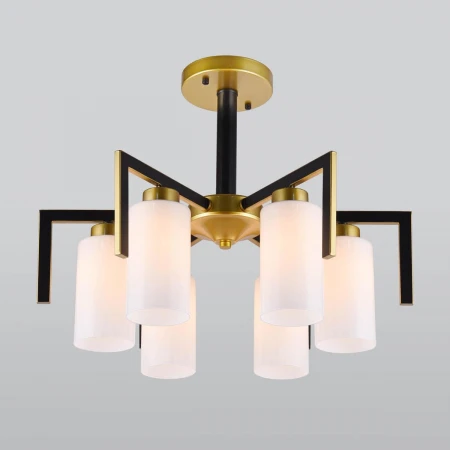 Потолочная люстра Eurosvet Palio 70126/6 черный