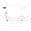 Потолочная люстра Evoluce Formae SLE220922-06 Потолочная люстра Evoluce Formae SLE220922-06
