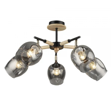 Потолочная люстра Wedo Light Miiya 66768.01.86.05