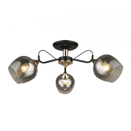 Потолочная люстра Wedo Light Isora 66606.01.69.03