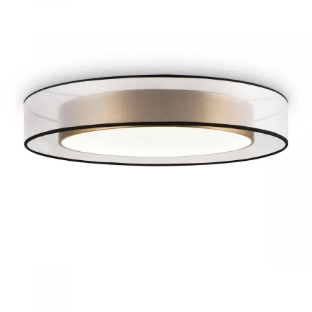 Потолочный светодиодный светильник Freya Zoticus FR6005CL-L48G