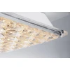 Потолочный светодиодный светильник Escada 10204/4LED