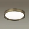 Потолочный светодиодный светильник Odeon Light Lunor 4948/45CL