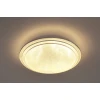 Потолочный светодиодный светильник Escada 10268/S LED