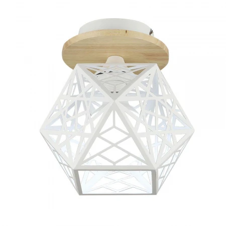 Потолочный светильник Wedo Light Aland 66782.01.09.01