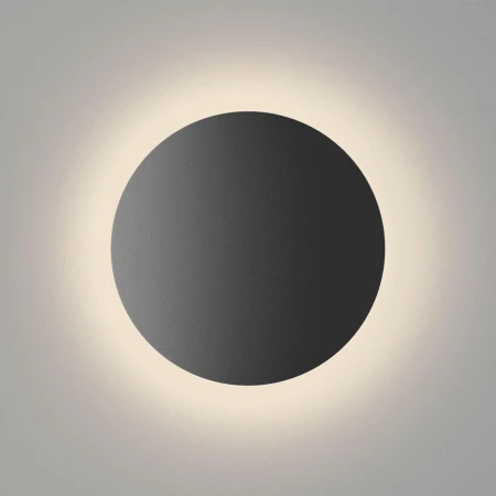 Настенный светодиодный светильник DesignLed GW Circus GW-8663L-16-BL-WW 004445