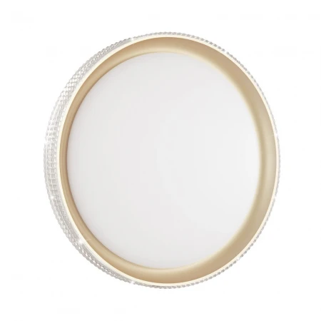 Настенно-потолочный светодиодный светильник Sonex Shiny 3054/DL