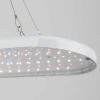 Светодиодный подвесной светильник для растений ЭРА Fito-25W-Qled-Fly Б0053062