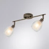 Спот Arte Lamp Biham A3184PL-2AB