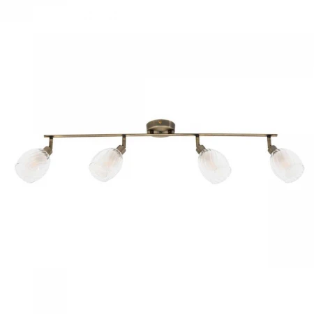 Спот Arte Lamp Biham A3184PL-4AB