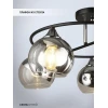 Потолочная люстра Seven Fires Rumo WD3527/5C-BK-CR-CL Потолочная люстра Seven Fires Rumo WD3527/5C-BK-CR-CL