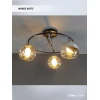 Потолочная люстра Seven Fires Rumo WD3527/3C-BK-CR-CL Потолочная люстра Seven Fires Rumo WD3527/3C-BK-CR-CL