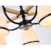 Потолочная люстра Ambrella light Traditional Modern TR3033245