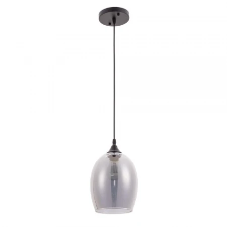 Подвесной светильник Arte Lamp Propus A4344SP-1BK