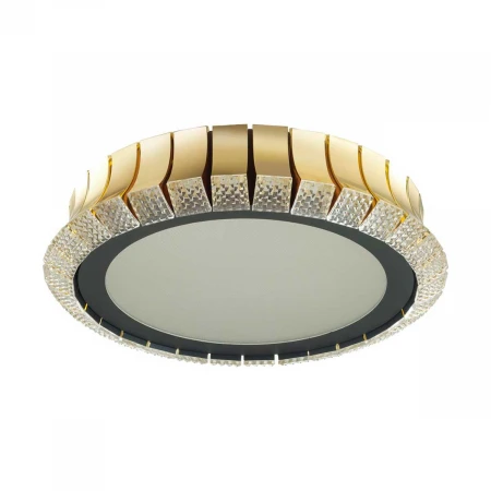 Потолочный светодиодный светильник Odeon Light Asturo 4994/75L