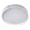 Потолочный светодиодный светильник Loft IT Coin 10200 White