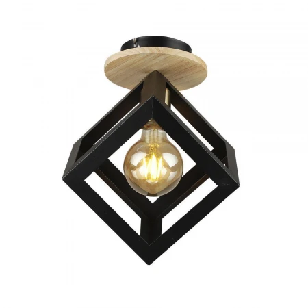 Потолочный светильник Seven Fires Aydana WD3570/1C-BK