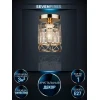 Потолочный светильник Seven Fires Beteni WD3567/1C-FGD-CL Потолочный светильник Seven Fires Beteni WD3567/1C-FGD-CL